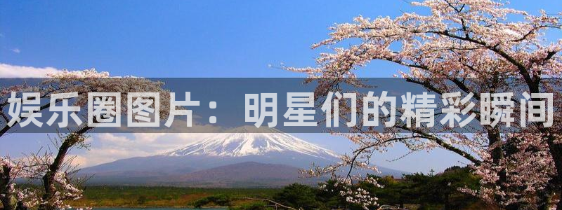 耀世娱乐3平台登录注册：娱乐圈图片：明星们的精彩瞬间