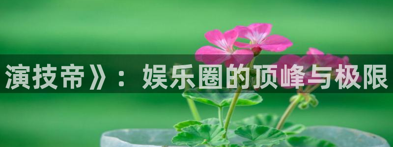 耀世娱乐3平台登录注册：演技帝》：娱乐圈的顶峰与极限
