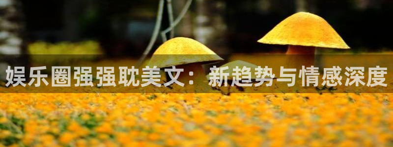 耀世娱乐体育凯捷登陆：娱乐圈强强耽美文：新趋势与情感深度