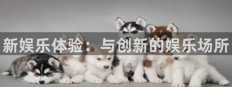 耀世娱乐2官网：新娱乐体验：与创新的娱乐场所