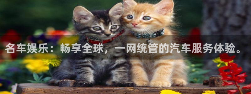 耀世娱乐f凯捷平台在线注册：名车娱乐：畅享全球，一网统管的汽车服务体验。