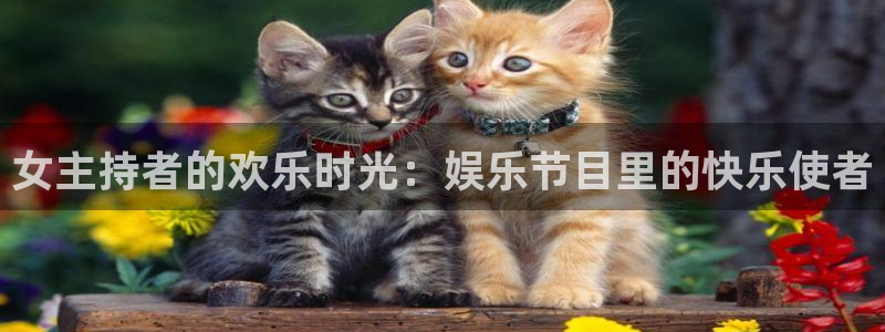 耀世娱乐代理注册官网入口：女主持者的欢乐时光：娱乐节目里的快乐使者