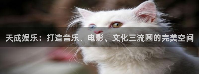 耀世娱乐f平台注册：天成娱乐：打造音乐、电影、文化三流圈的完美空间