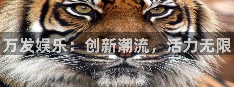耀世娱乐5：万发娱乐：创新潮流，活力无限