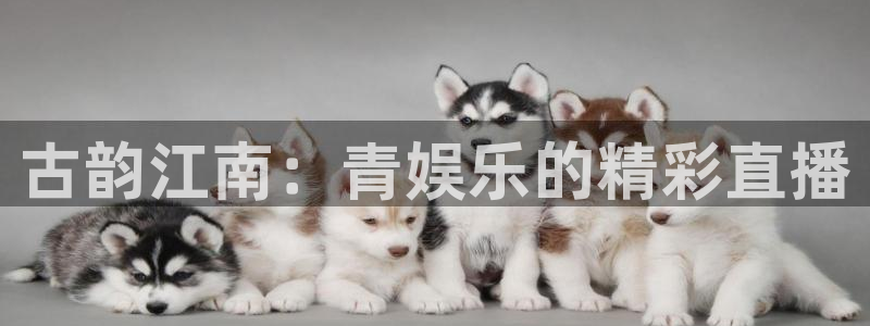 耀世娱乐体育凯捷登陆：古韵江南：青娱乐的精彩直播