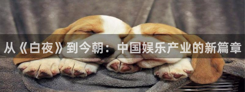 耀世娱乐体育凯捷代理注册：从《白夜》到今朝：中国娱乐产业的新篇章