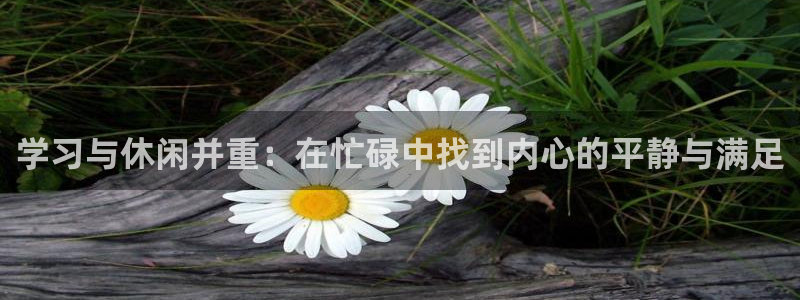 耀世娱乐4平台注册：学习与休闲并重：在忙碌中找到内心的平静与满足