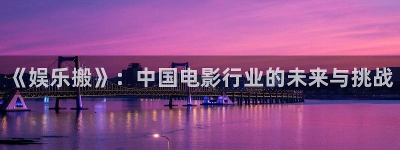 耀世娱乐2体育：《娱乐搬》：中国电影行业的未来与挑战